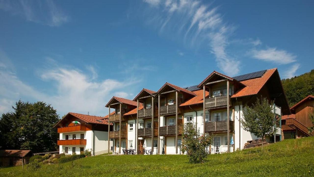 Zum Wirt Hohenbogenblick Apartment