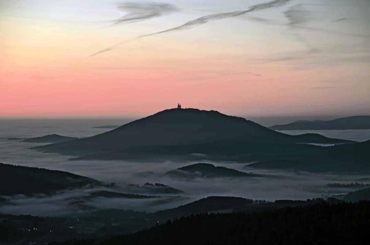 Zum Wirt Hohenbogenblick