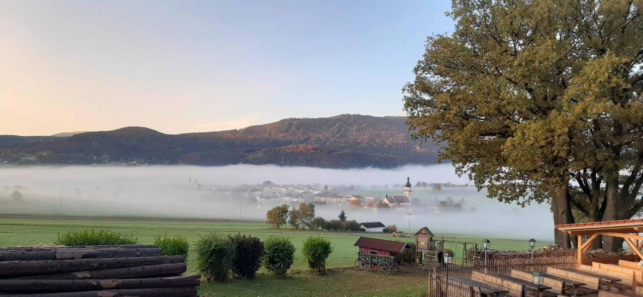 Zum Wirt Hohenbogenblick