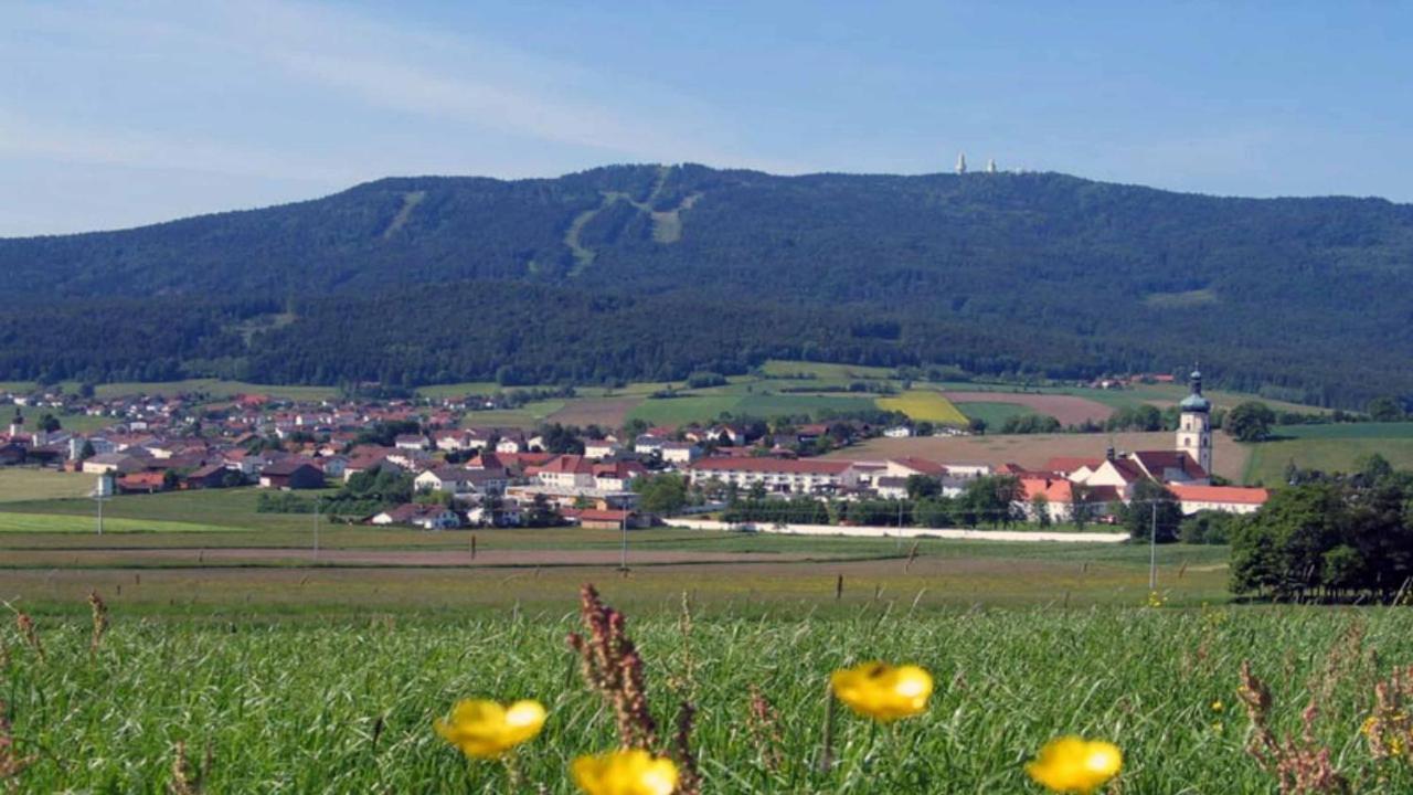Zum Wirt Hohenbogenblick Apartment *